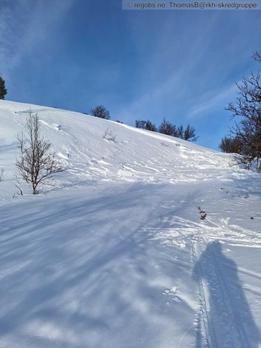 Skiløperutløst skred i Alvdal, fredag 24. febr. 2024