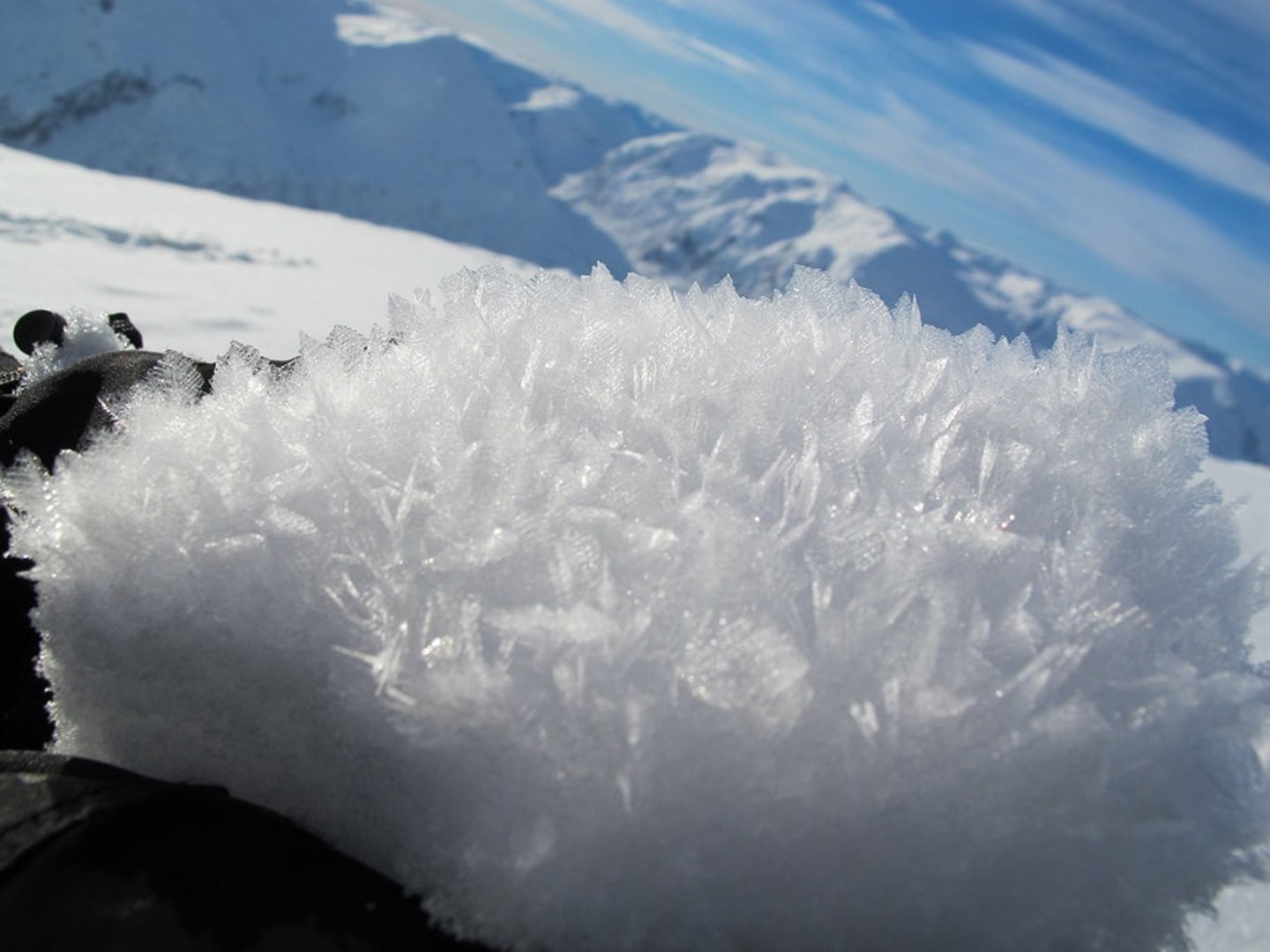 Bilde av godt utviklet overflaterim på toppen av snødekket.
