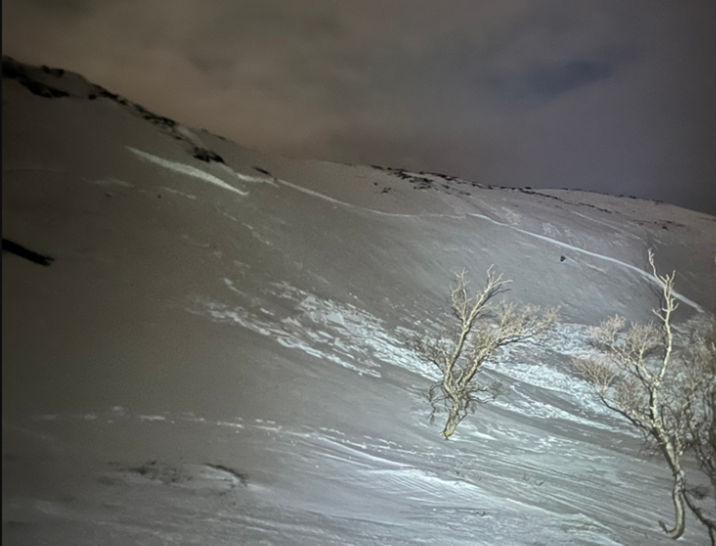 Snøskred Finnvikeidet. Kvinna vart funnen utanfor høgre biletkant. 