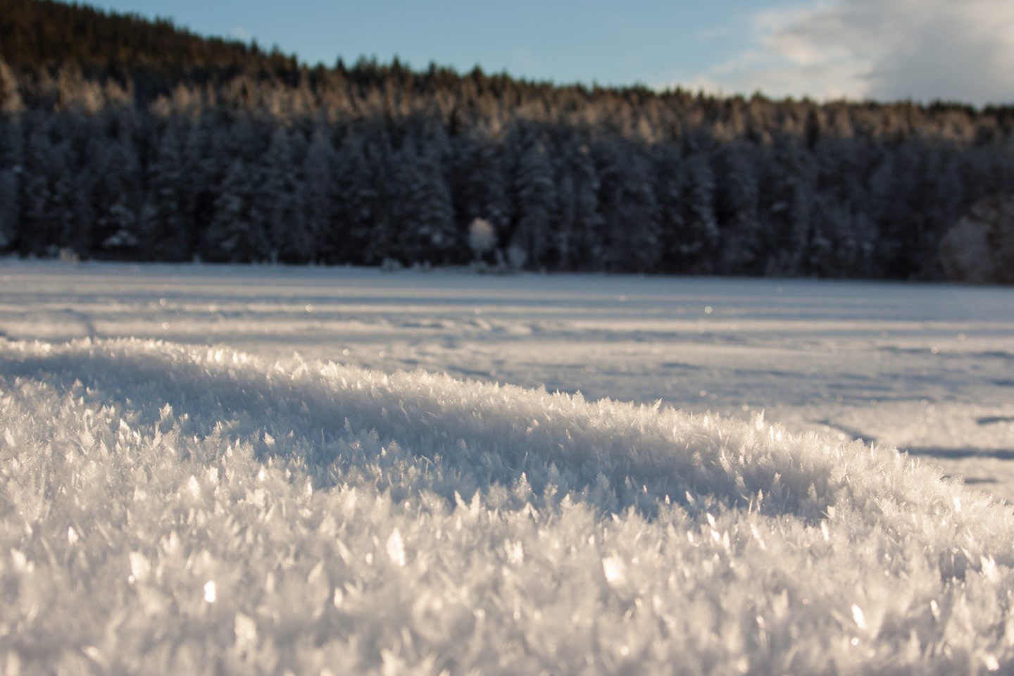 Godt utviklete rimkrystaller på overflaten av snødekket.