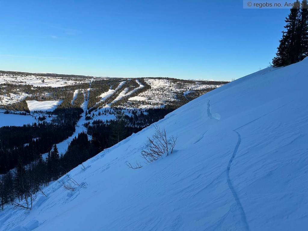 Skiløperutløst skred på Gålå – 26. februar 2024
