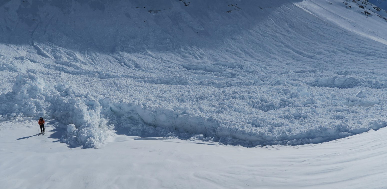 En skigåere står ved siden av skredavsetningene til et svært stort vått flakskred.