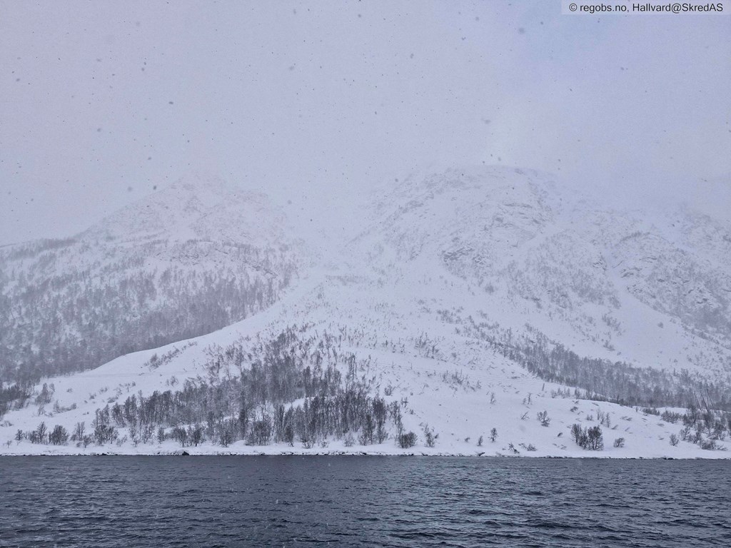 Stort skred som gikk 18. mars ved Skarmokka i Lyngen varslingsregion