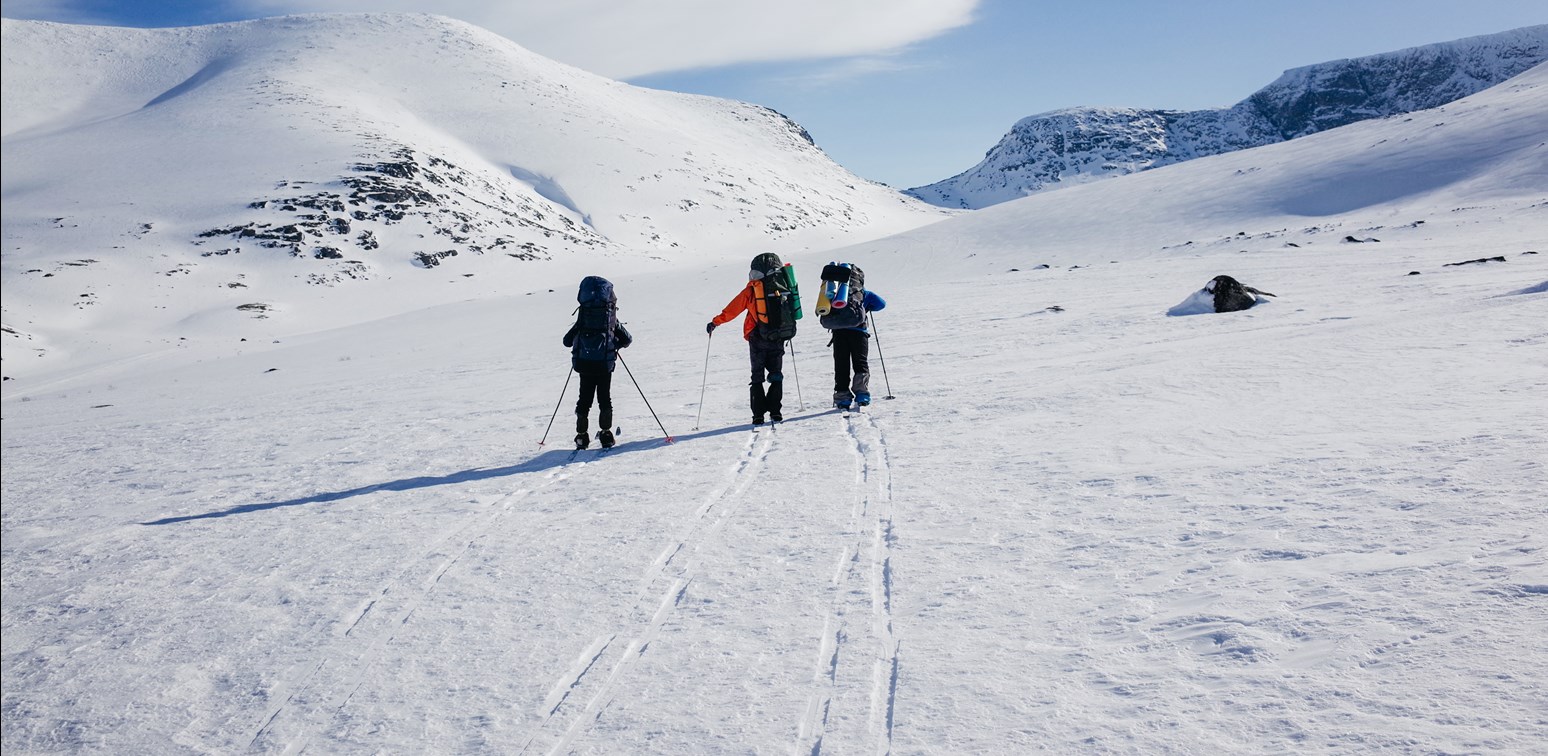 En gruppe på fjellskitur i slakt terreng.